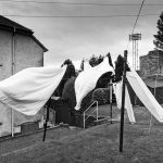 Albion 3-0 Stirling Albion