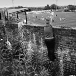 Albion 3-4 St Mirren