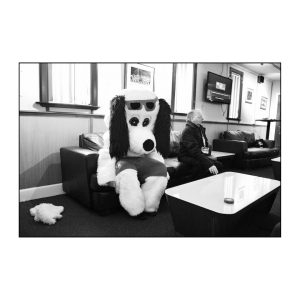 Dejected Rovers Mascot. Albion Rovers 1-3 Airdrie. Cliftonhill Stadium. 12.09.15. Archival Giclée print with a pearl finish, unframed.