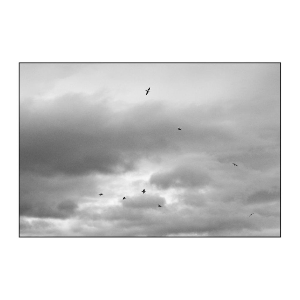 Ayr United versus Albion Rovers. Somerset Park, 2013. Archival Giclée print with a pearl finish, unframed.