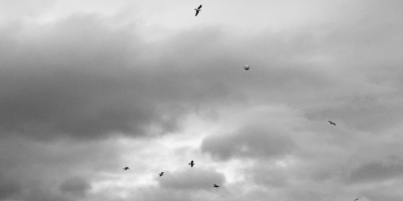 Up in the Ayr - Ayr United v Albion Rovers. Somerset Park. 2013