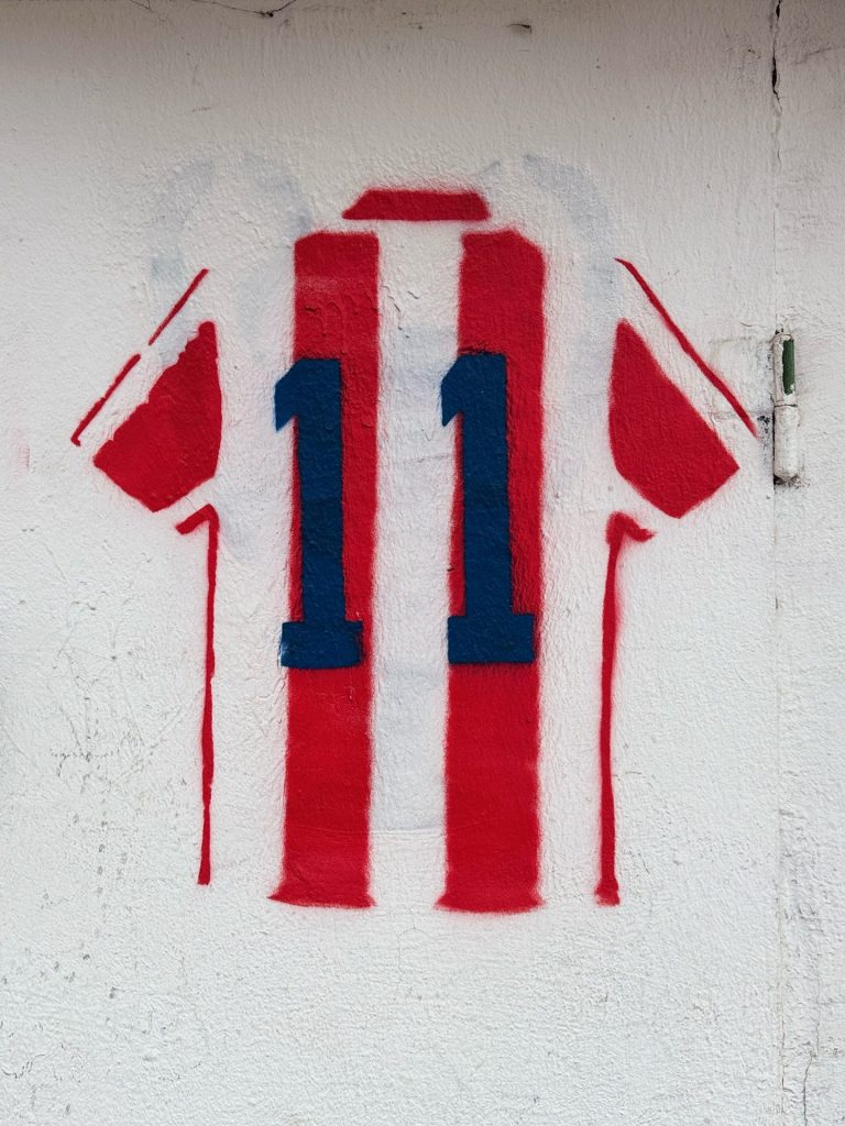 Red Star Belgrade, FK Crvena zvezda, Rajko Mitic Stadium