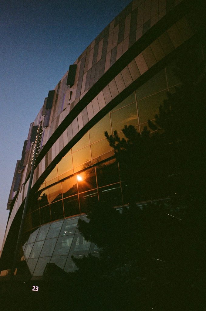 Tottenham on film Alexander Stone