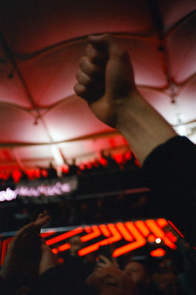 Tottenham on film Alexander Stone