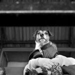 A dog keeps its eyes on the ball, Albion Rovers 5-0 Stirling University. Cliftonhill Stadium. Archival Giclée print with a pearl finish, unframed. Iain McLean