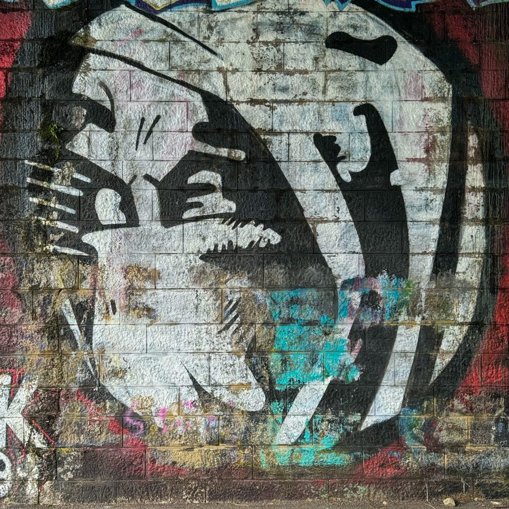 Football Murals and Street Art Stade Rennais FC