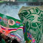 The Gulls 1985-05 Torquay United, Plainmoor Lower Block Marcus Davies