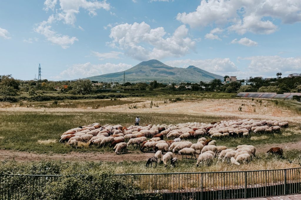 Stadio Fossa di Valle, Pompeii, Ghost Stadium, Naples, Football, Imma Rhamely Borrelli