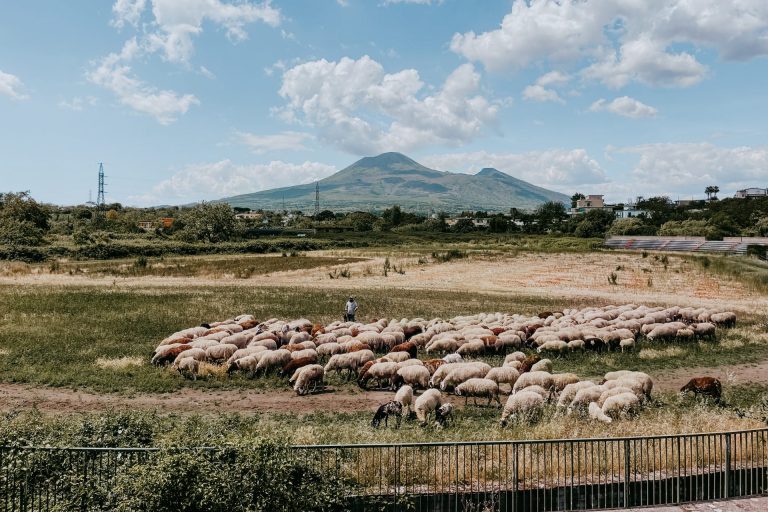 Stadio Fossa di Valle, Pompeii, Ghost Stadium, Naples, Football, Imma Rhamely Borrelli