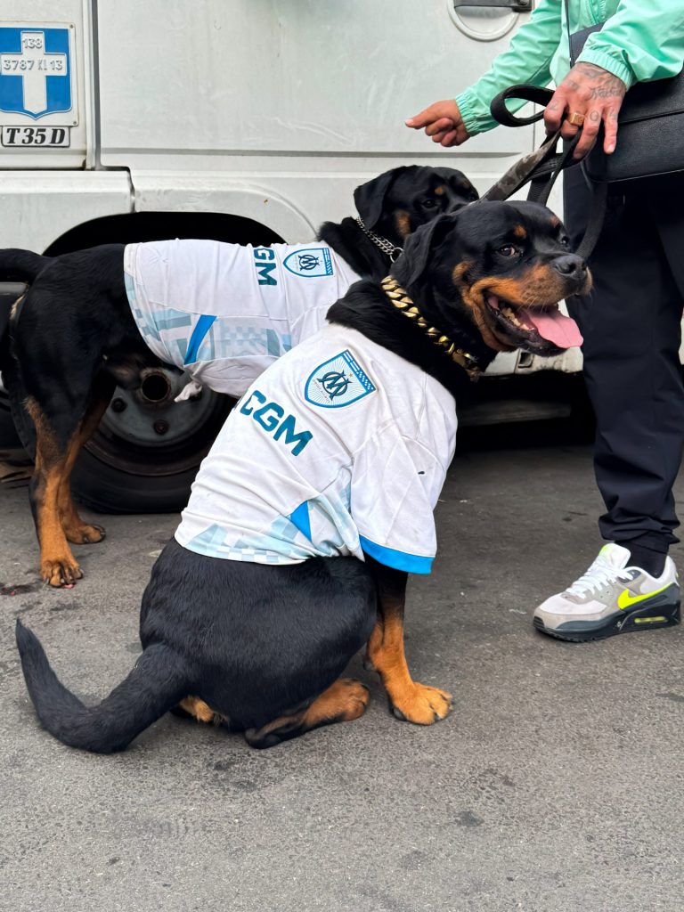 Marseille, Olympique de Marseille, Stade Vélodrome.