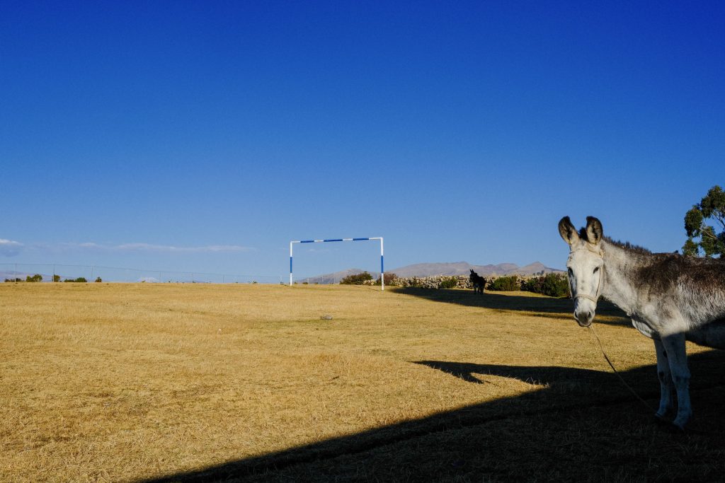 Goal photography project by Jeremy Skirrow. Isla Del Sol, Bolivia