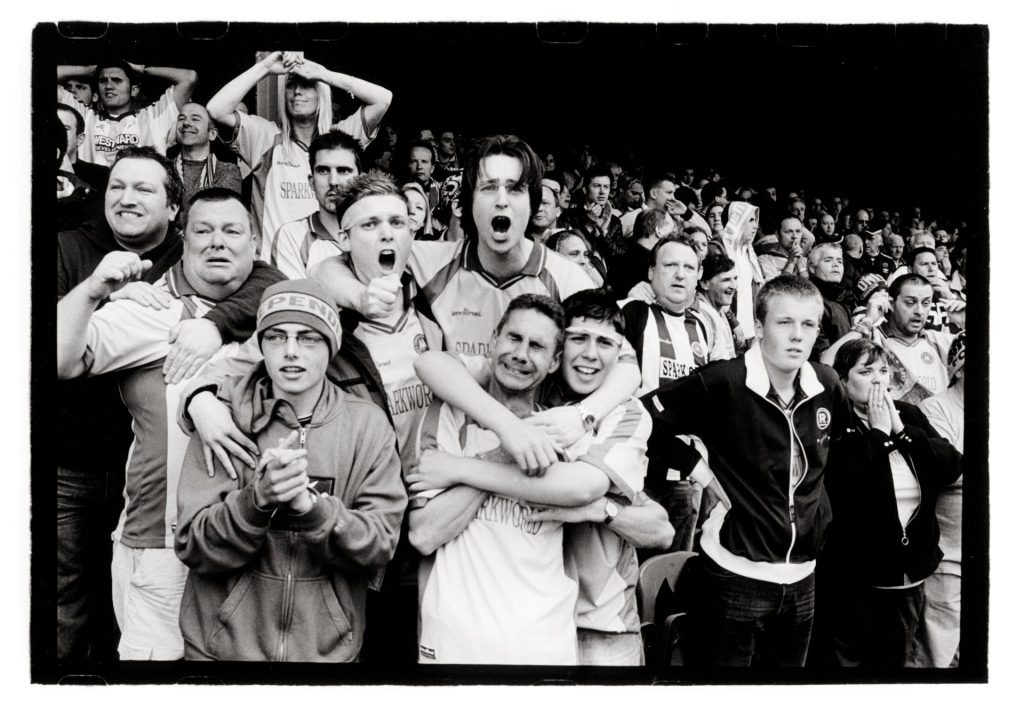The Gulls | Torquay United | Marcus Davies Lower Block Edition